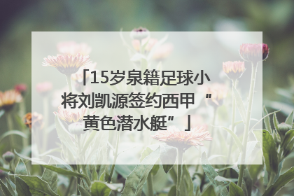 15岁泉籍足球小将刘凯源签约西甲“黄色潜水艇”