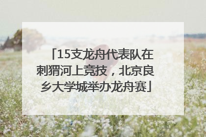 15支龙舟代表队在刺猬河上竞技，北京良乡大学城举办龙舟赛