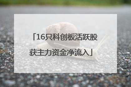 16只科创板活跃股获主力资金净流入