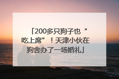 200多只狗子也“吃上席”！天津小伙在狗舍办了一场婚礼