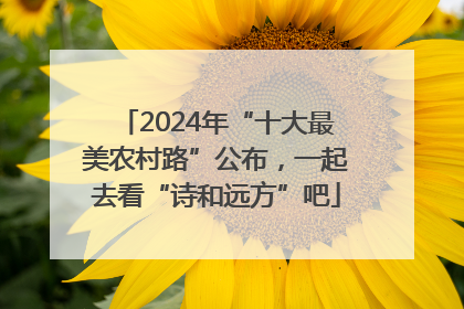 2024年“十大最美农村路”公布，一起去看“诗和远方”吧