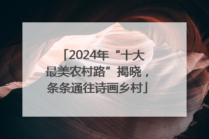 2024年“十大最美农村路”揭晓，条条通往诗画乡村