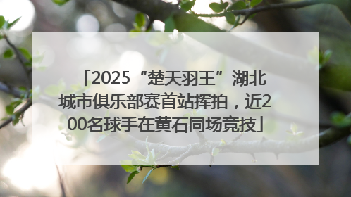 2025“楚天羽王”湖北城市俱乐部赛首站挥拍，近200名球手在黄石同场竞技