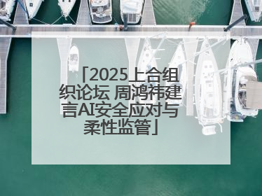 2025上合组织论坛 周鸿祎建言AI安全应对与柔性监管