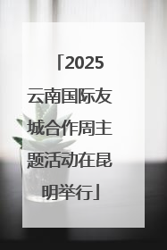 2025云南国际友城合作周主题活动在昆明举行