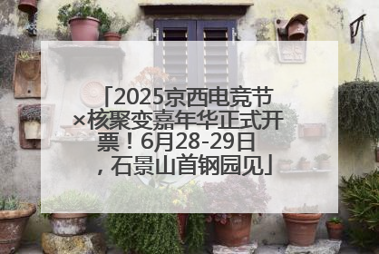 2025京西电竞节×核聚变嘉年华正式开票！6月28-29日，石景山首钢园见