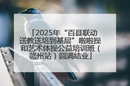 2025年“百县联动送教送培到基层”啦啦操和艺术体操公益培训班（赣州站）圆满结业