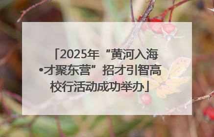 2025年“黄河入海•才聚东营”招才引智高校行活动成功举办