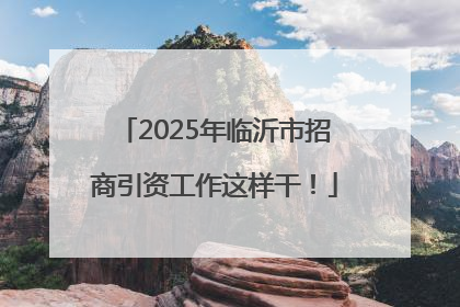 2025年临沂市招商引资工作这样干！