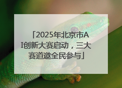 2025年北京市AI创新大赛启动，三大赛道邀全民参与