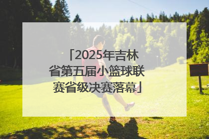 2025年吉林省第五届小篮球联赛省级决赛落幕
