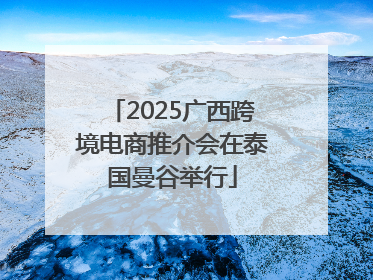 2025广西跨境电商推介会在泰国曼谷举行