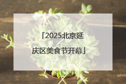 2025北京延庆区美食节开幕