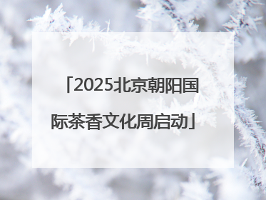 2025北京朝阳国际茶香文化周启动
