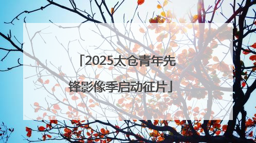 2025太仓青年先锋影像季启动征片