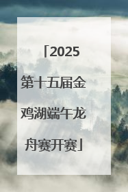 2025第十五届金鸡湖端午龙舟赛开赛