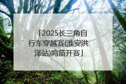 2025长三角自行车穿越赛(淮安洪泽站)鸣笛开赛
