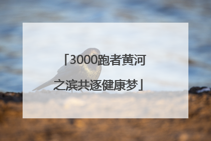 3000跑者黄河之滨共逐健康梦