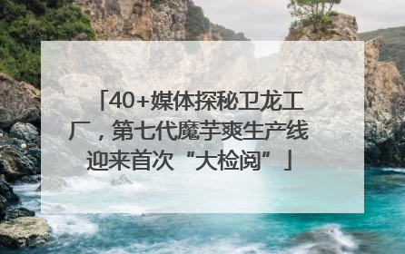 40+媒体探秘卫龙工厂，第七代魔芋爽生产线迎来首次“大检阅”