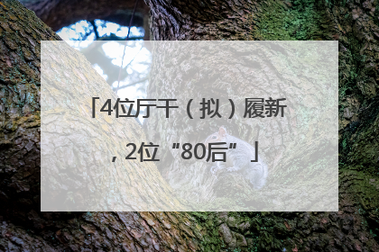 4位厅干（拟）履新，2位“80后”