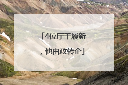 4位厅干履新，他由政转企
