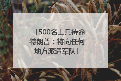 500名士兵待命 特朗普：将向任何地方派遣军队