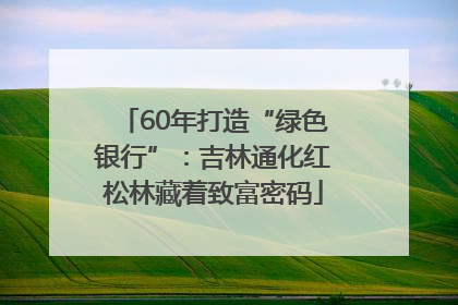 60年打造“绿色银行”：吉林通化红松林藏着致富密码