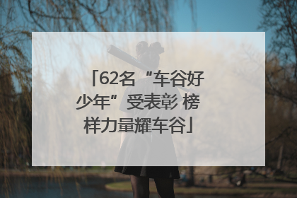 62名“车谷好少年”受表彰 榜样力量耀车谷