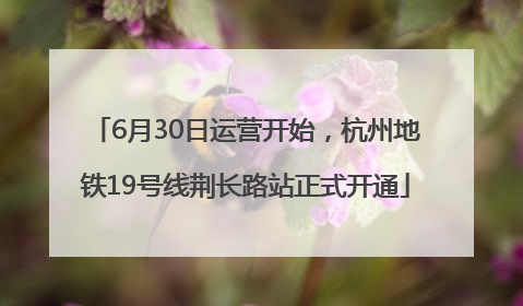 6月30日运营开始，杭州地铁19号线荆长路站正式开通
