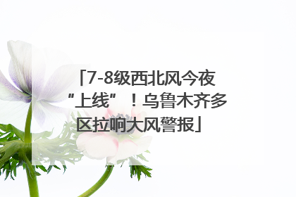 7-8级西北风今夜“上线”！乌鲁木齐多区拉响大风警报