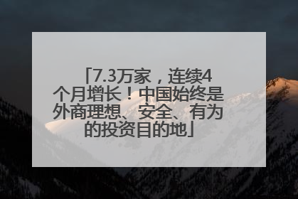 7.3万家，连续4个月增长！中国始终是外商理想、安全、有为的投资目的地