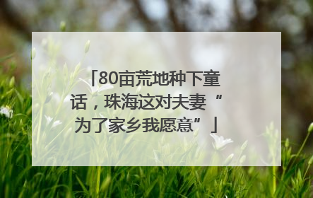 80亩荒地种下童话，珠海这对夫妻“为了家乡我愿意”