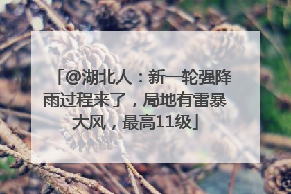@湖北人：新一轮强降雨过程来了，局地有雷暴大风，最高11级