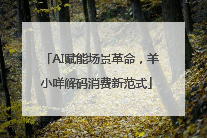 AI赋能场景革命，羊小咩解码消费新范式