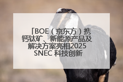 BOE（京东方）携钙钛矿、新能源产品及解决方案亮相2025 SNEC 科技创新赋能行业绿色发展