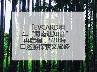 EVCARD租车“海南遇知音”再启程，520海口巡游探索文旅经济新模式