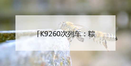 K9260次列车：粽香飘散处 铺就连心路