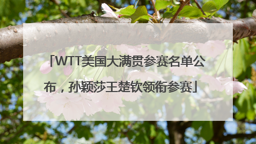 WTT美国大满贯参赛名单公布，孙颖莎王楚钦领衔参赛
